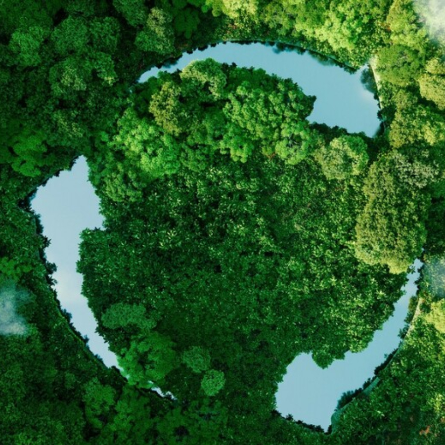 Lớp hiệu quả năng lượng: A+ Lớp hiệu quả năng lượng: A+