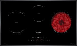 bep-dien-tu-canzy-cz-tl67gb