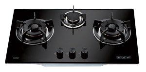 bep-gas-am-faster-fs-319s