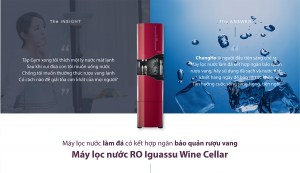 may-loc-nuoc-chung-ho-wine-cellar-chp-5321d-4