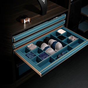 ngan-keo-chia-o-de-do-lot-boc-da-mau-xanh-luc-bao-garis-gw08e